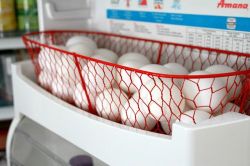 cesta-huevo-frigorifico