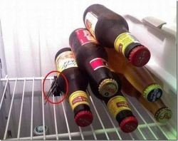 pinzas-cervezas-frigorifico